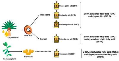 Blood lipid profiles, fatty acid deposition and expression of hepatic lipid and lipoprotein metabolism genes in laying hens fed palm oils, palm kernel oil, and soybean oil